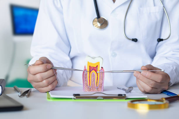 Best Emergency Root Canal Treatment in Muse, PA